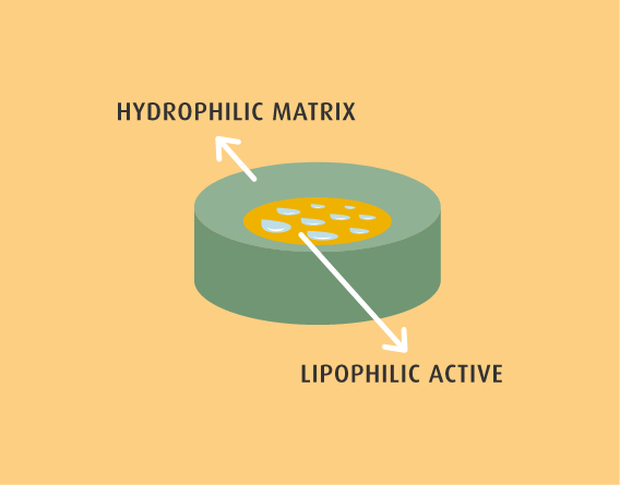 Hydro-Lipophylic Matrix
